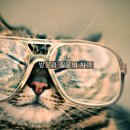 자녀독서 논술지도 이미지