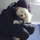 달자농장 이미지