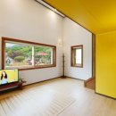 가평금잔디 이미지