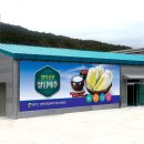 팔각산친환경절임배추영농조합법인 이미지