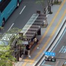 연제구-147 이미지