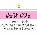 아르밤 펫 이미지