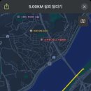 장터건강원