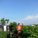 해병 제1상륙사단 이미지