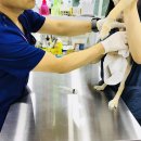 KT만수지점 이미지