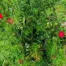 [찬샘통문 Ⅱ-17]나의 편집기자 시절 이미지