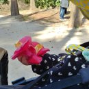 잉어물놀이 이미지