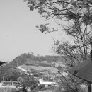 우리1호태양광발전소 이미지