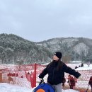 눈꽃마을 | 대관령 눈꽃마을 눈썰매장 평창 봅슬레이 눈썰매 오픈런 후기 + 주차, 입장 꿀팁