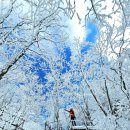 치악산 春雪_午後편 2026.3.7