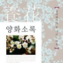 소록 이미지