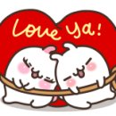꼬꼬인더박스 네이버블로그