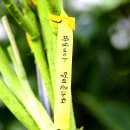 레드시크릿 이미지