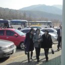 웨딩알리앙스 이미지