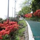 2017년4월23일(일) 오전. 여수돌산공원 "여수해상케이블카＞자산공원(이순신공원)" 여행..2. 이미지