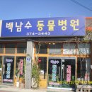 백남수동물병원 이미지