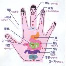 손과발
