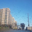 금동어린이집 이미지