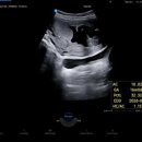 김건우 산부인과의원 이미지