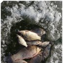 오늘달려 이미지