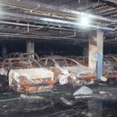 플러스디아이(주) 이미지