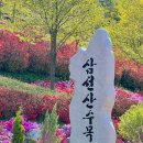 당진 가볼만한곳 추천 삼선산수목원 왕겹벚꽃 만개 개화시기