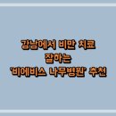 강남에서 비만 치료 잘하는 &#39;비에비스 나무병원&#39; 추천