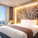 이비스스타일 앰배서더 서울용산 이미지