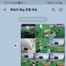 땡글땡굴 이미지