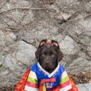 올림푸스원 이미지