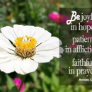 Verse of the day and prayer_260504 이미지