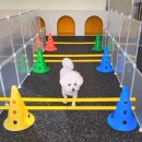 멍더가든 이미지