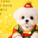 미유펫대구 강아지분양고양이분양(도그플러스동물병원) 이미지