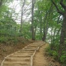 큰기린약국 Daum카페