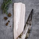 우리집 장어 이미지