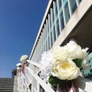 한신대학교 신학대학원 | 한신대학교 신학대학원에서 영화 같은 들꽃 결혼식~♡