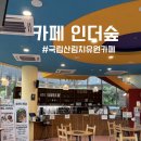 캠프 인더숲 | 국립산림치유원 카페 인더숲 후기