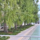 희망 Library Center | 아이와 LA 미술관 게티센터 방문 꿀팁 : 예약방법, 주차요금, 무료투어
