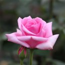 인천대공원 내 이미지