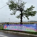 라운드원 | 이천도자기축제 실시간 후기ㅣ10:30 주차 상황, 그릇 &amp; 화분 득템 성공