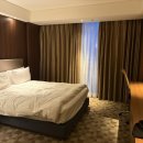 (주)호텔롯데 롯데시티호텔대전 이미지