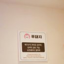 푸돼지 이미지