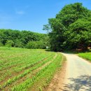 성양목장 이미지