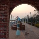 양산삼일뒷고기 | 20200126 양산 디에이블&20200201 하단 아사+다대포 여기+부네치아(장림포구)