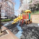 서대전초교병설 이미지