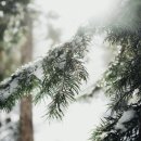 랩스프로 이미지