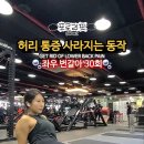 허리통증 완화 효과 방법안내 이미지