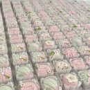 [인천 상견례 선물 추천] 다과한상 내돈내산 또또 주문 후기
