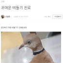 로얄종합동물병원