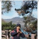 충주호 종댕이 이미지